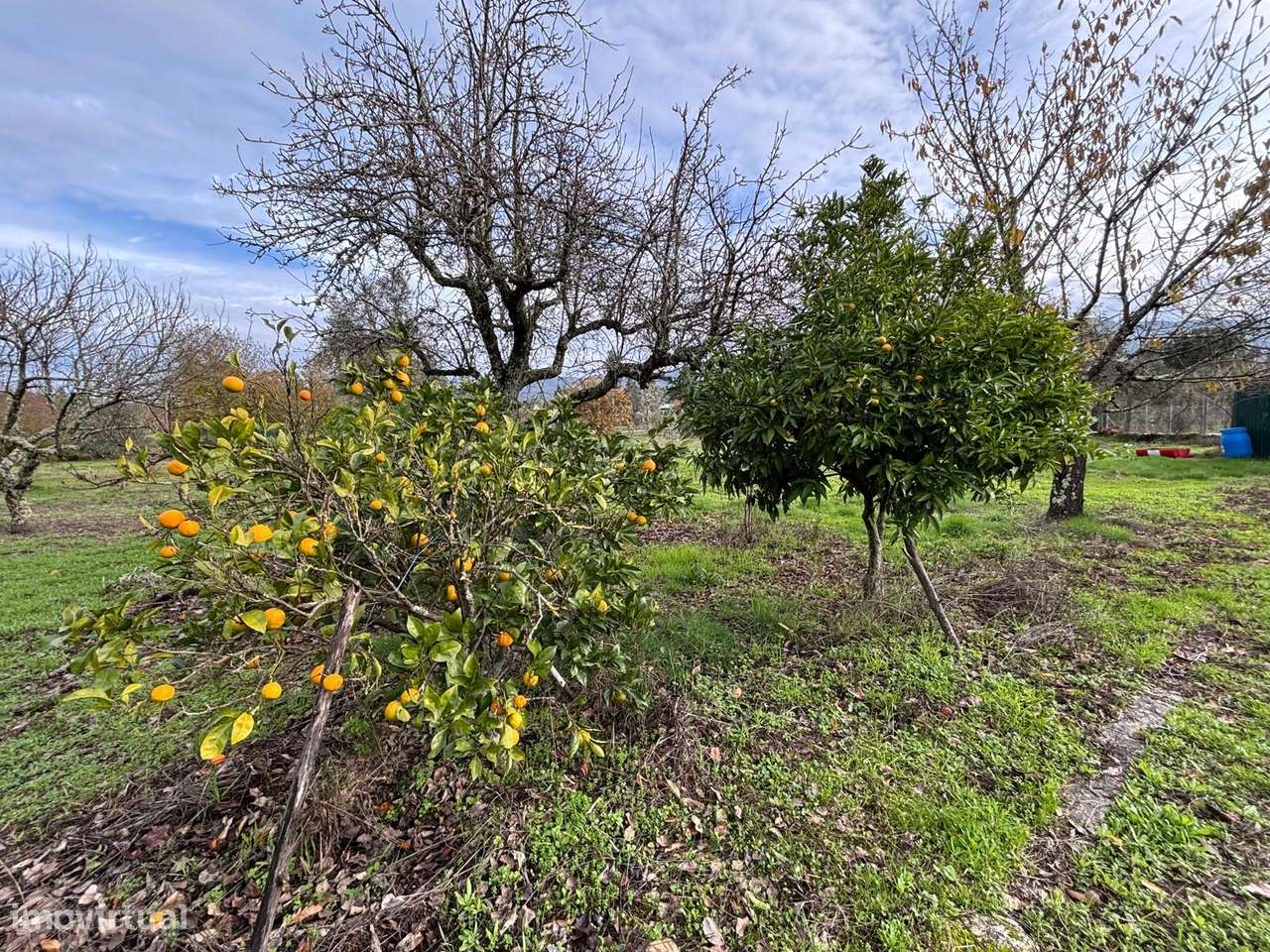Quinta T2 Venda em Paços da Serra,Gouveia-16