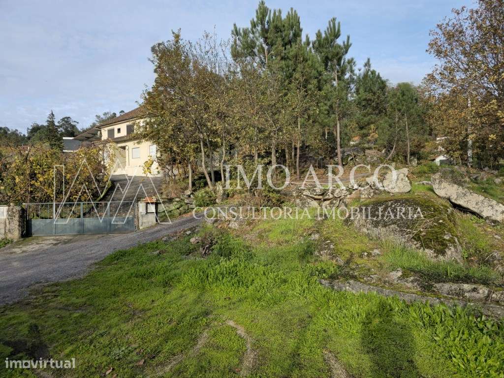 Terreno, Olival de Meanhos-2