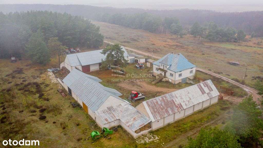 Gospodarstwo w sercu Biebrzańskiego Parku. - Pełny obrazek: 4/20