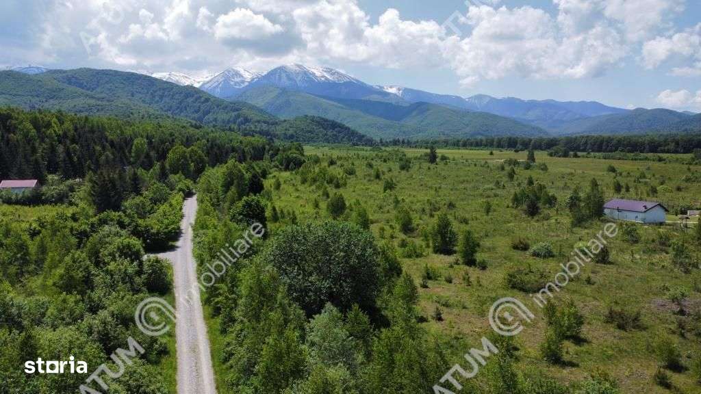 Teren intravilan 1000 mp de vanzare pe Valea Avrigului - Imagine principală: 1/3