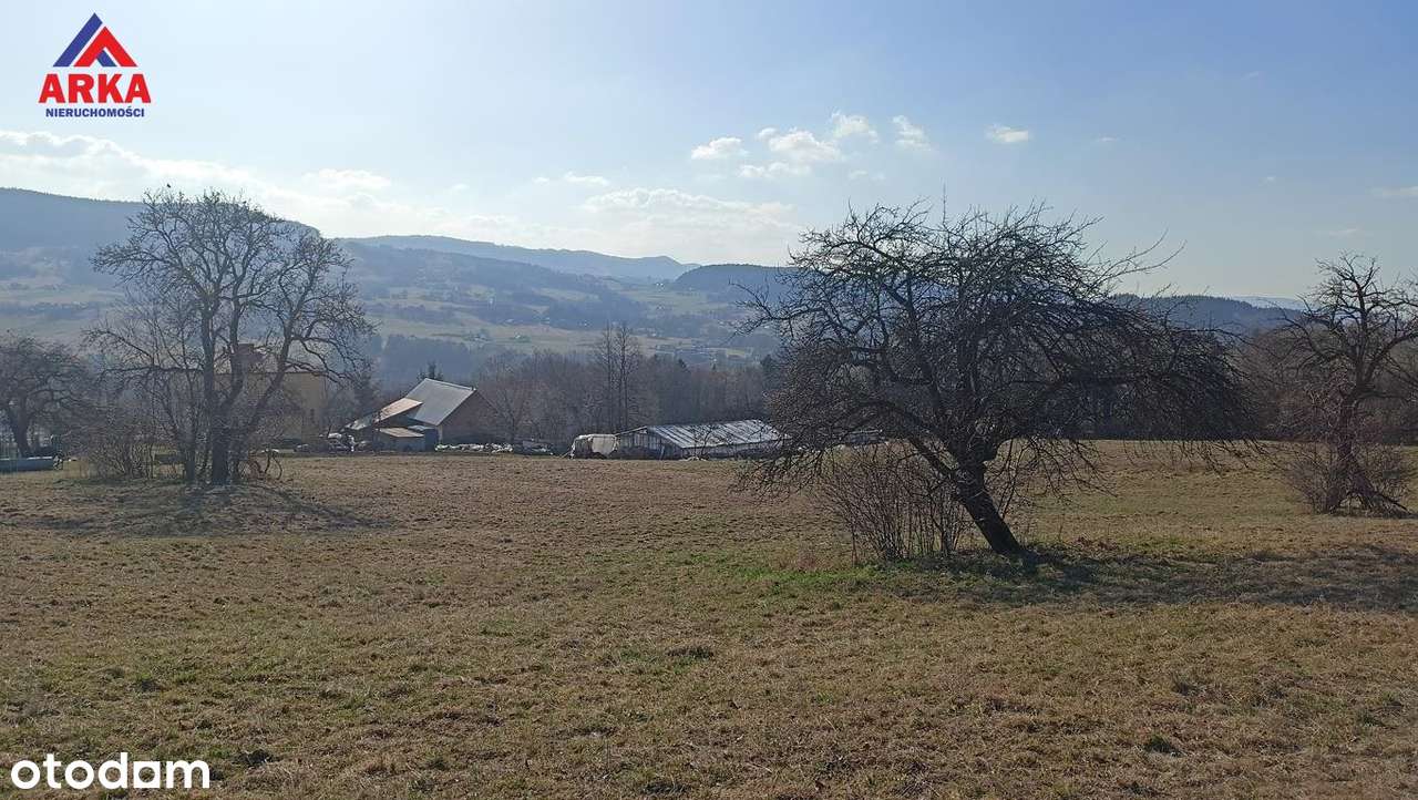 Widokowa działka z WZ – południowy stok, panorama - Pełny obrazek: 2/7