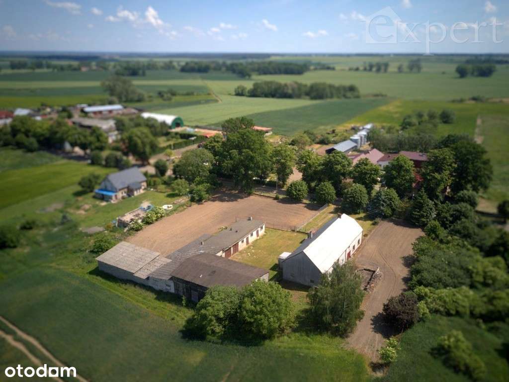 Lucin - dom - gospodarstwo rolne 32.500 m2 - Pełny obrazek: 4/20