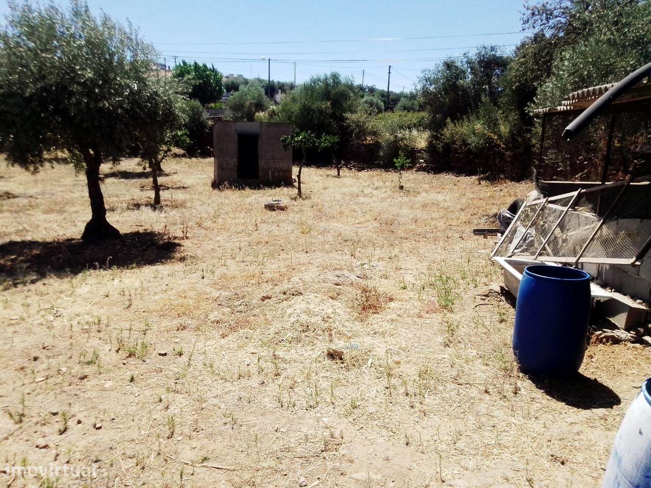 Terreno Rústico em Zebreira| Segura | Idanha-a-Nova - Grande imagem: 5/15