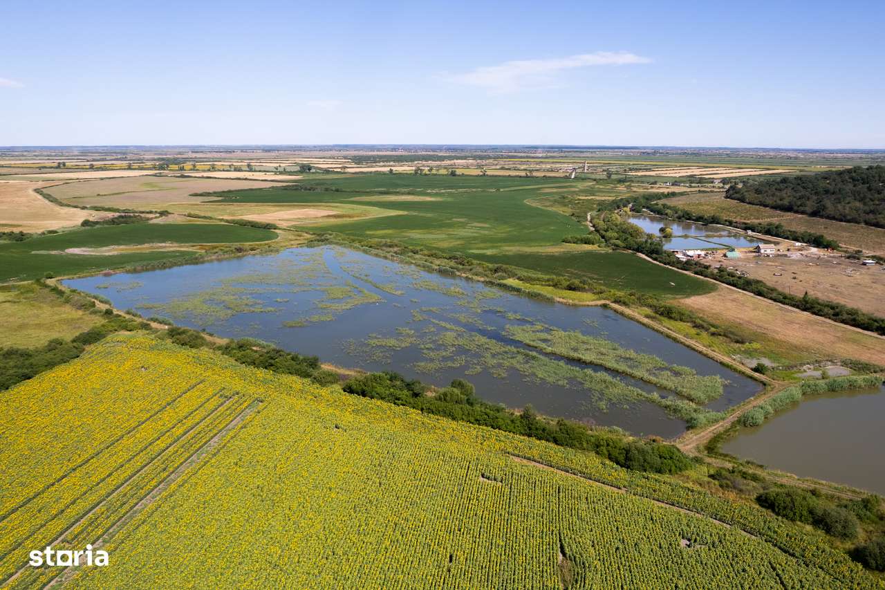 Pescarie/zona de agrement 66.500 mp - Ineu Comision 0% - Imagine principală: 2/5