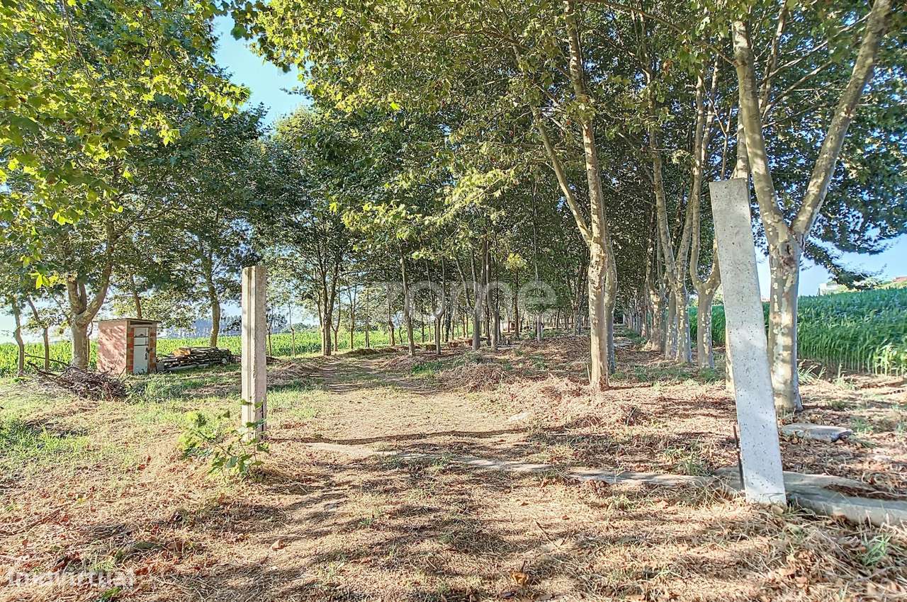 Quinta em Aveiro - Grande imagem: 3/19