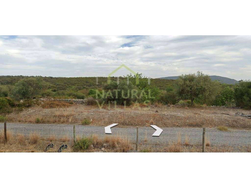 Terreno Rústico com Boa Exposição Solar a Sul de São Brás de Alportel - Grande imagem: 2/3