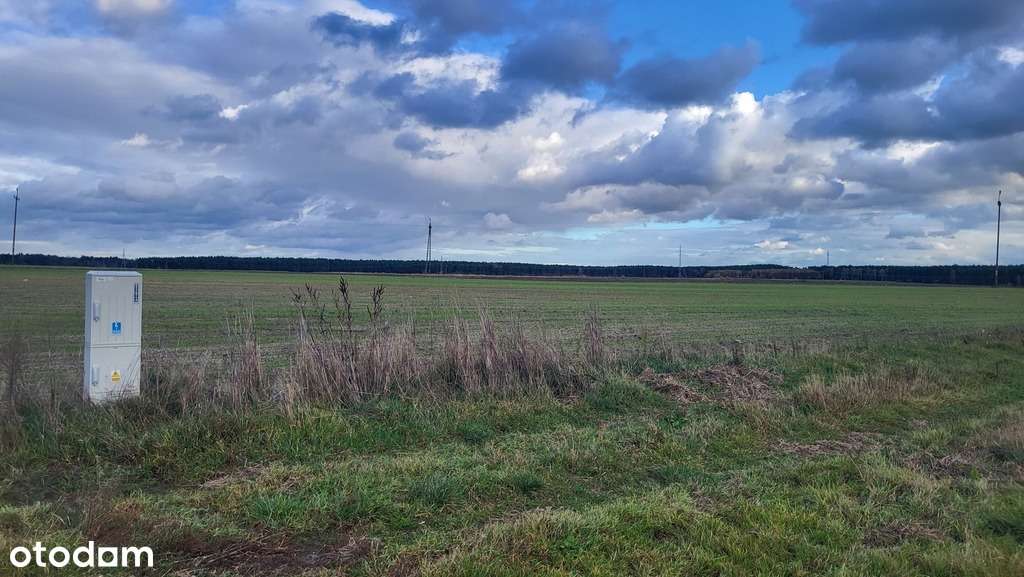 Działki w Chlastawie - 1300m2 - Pełny obrazek: 4/6