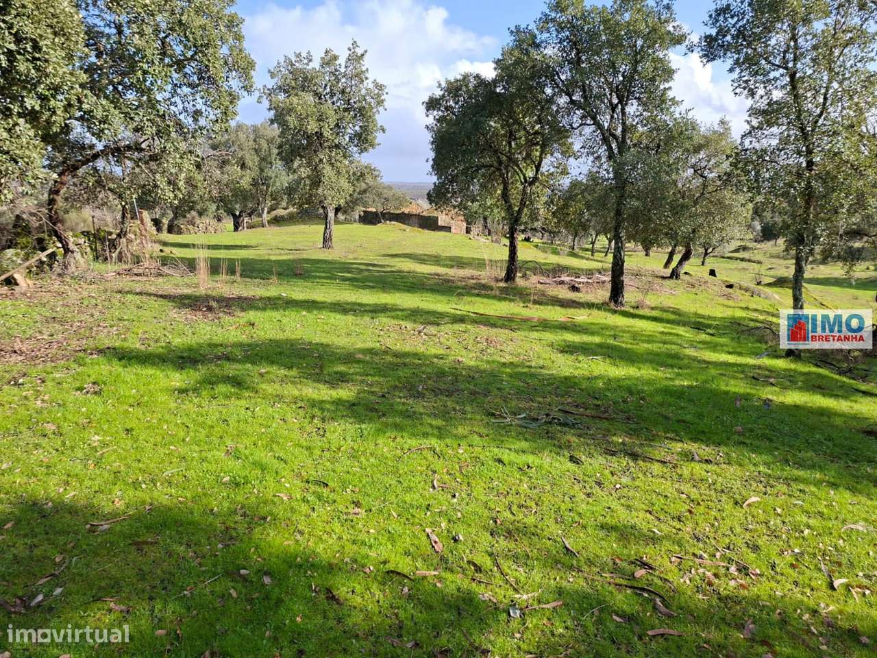 Quinta com ruína em São Miguel D´Acha - Grande imagem: 5/22