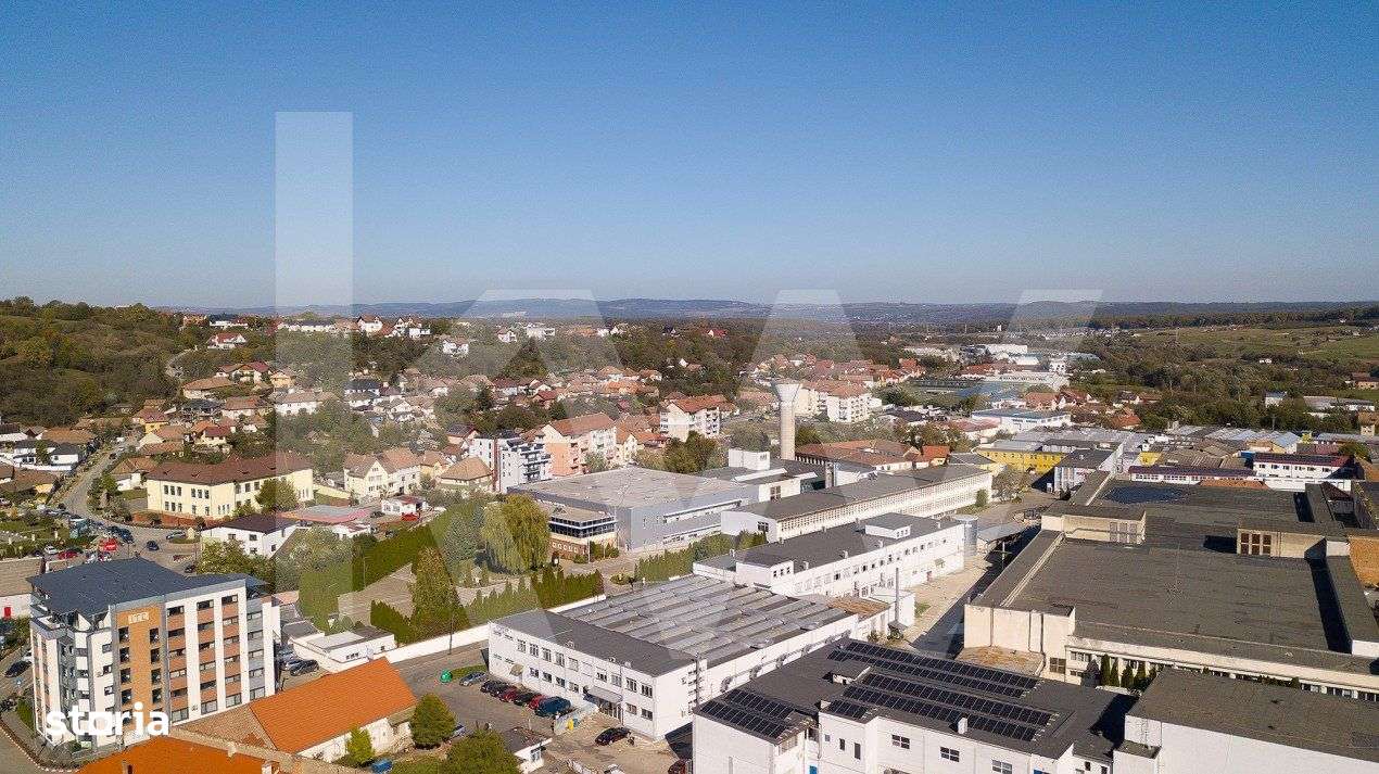 Complex Industrial de Vanzare – Zona Industriala, Cisnadie, Sibiu - Imagine principală: 2/11