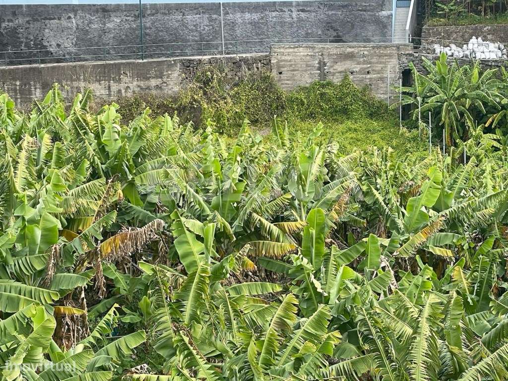 TERRENO COM 2110 m² | CAMINHO DO TERÇO (Cª LOBOS)-3