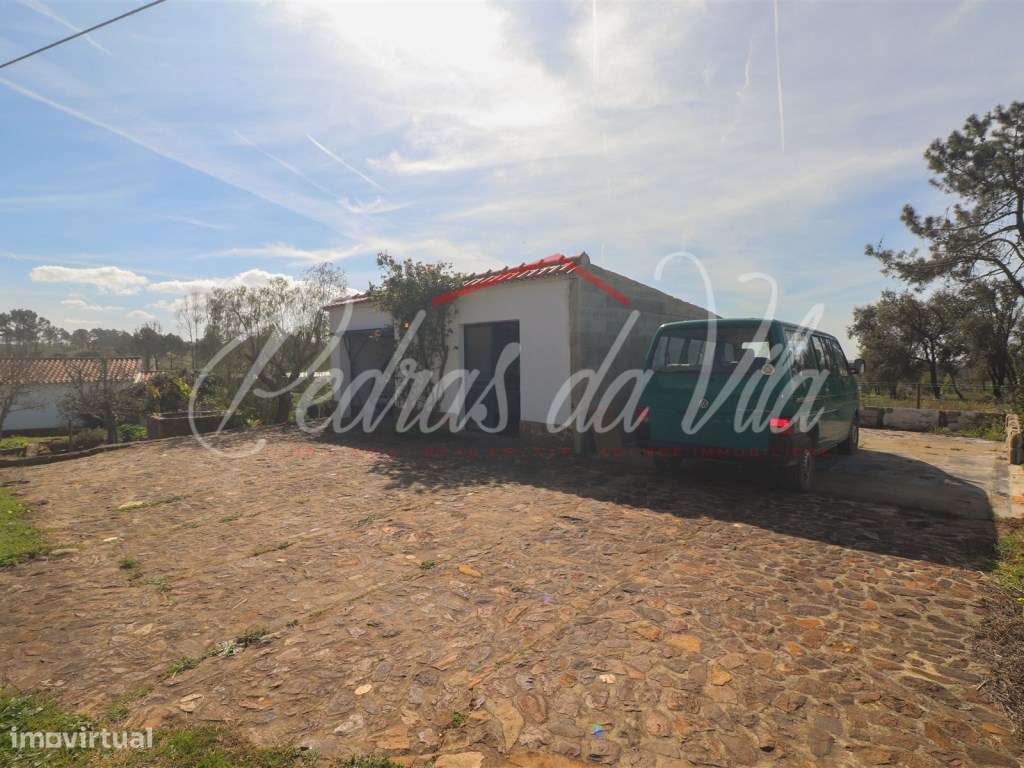 Quinta com 6,5ha em Vale Juncal - São Teotónio-28