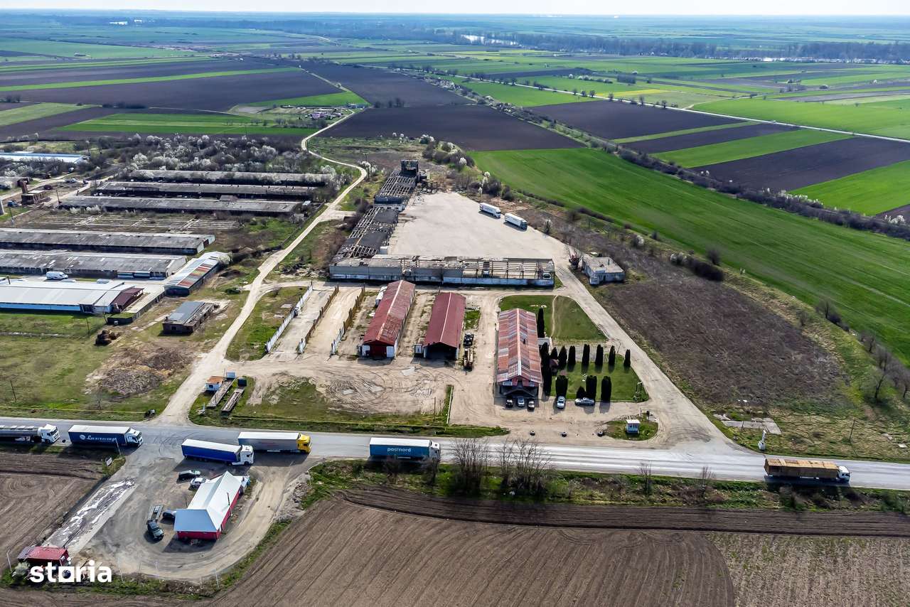 4,2 ha Teren DN7 Nădlac pentru Parc Logistic - Imagine principală: 5/15