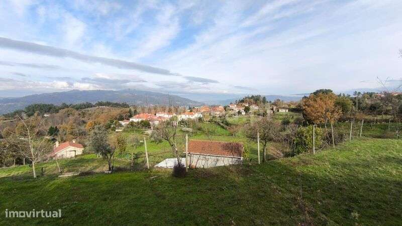 Terreno Rústico / Cinfães, Cinfães-6