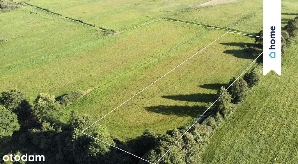 Duża działka inwestycyjna 13 000 m² | Żurczyn - Pełny obrazek: 4/8