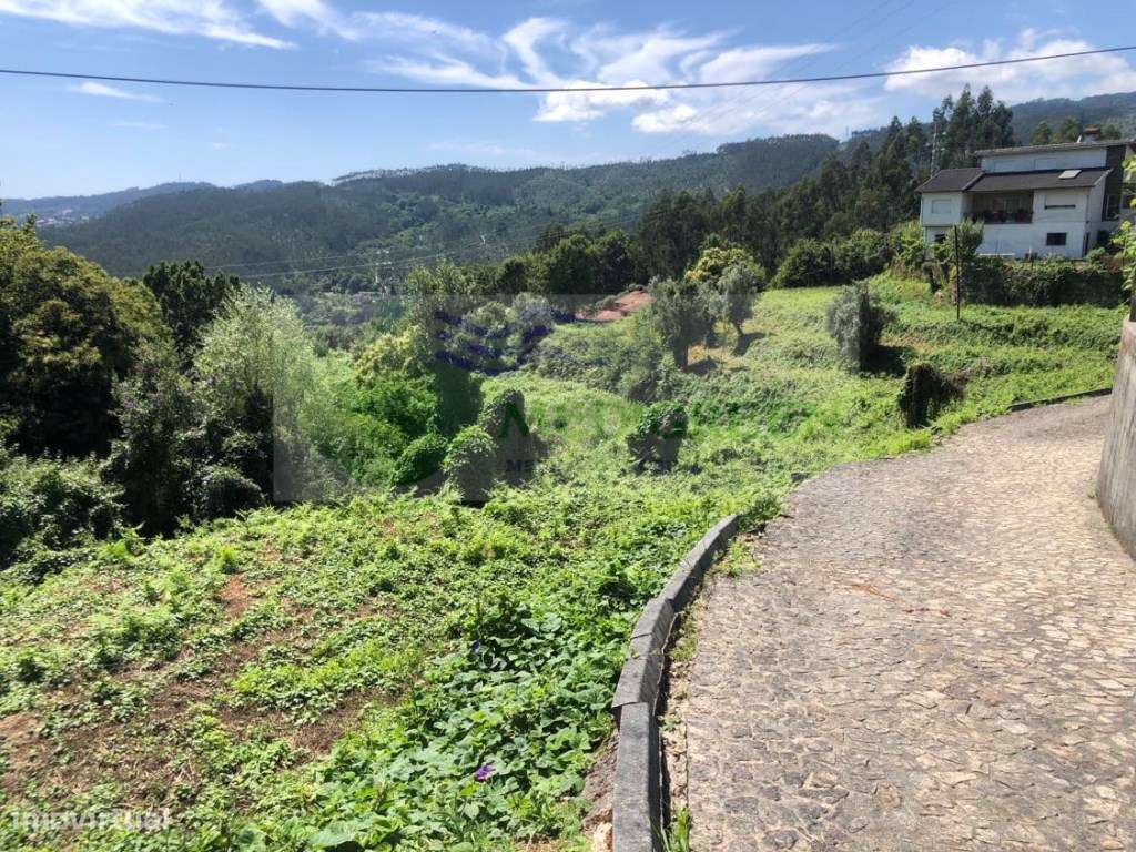 TERRENO / QUINTA COM 27.000 m² - Grande imagem: 4/18