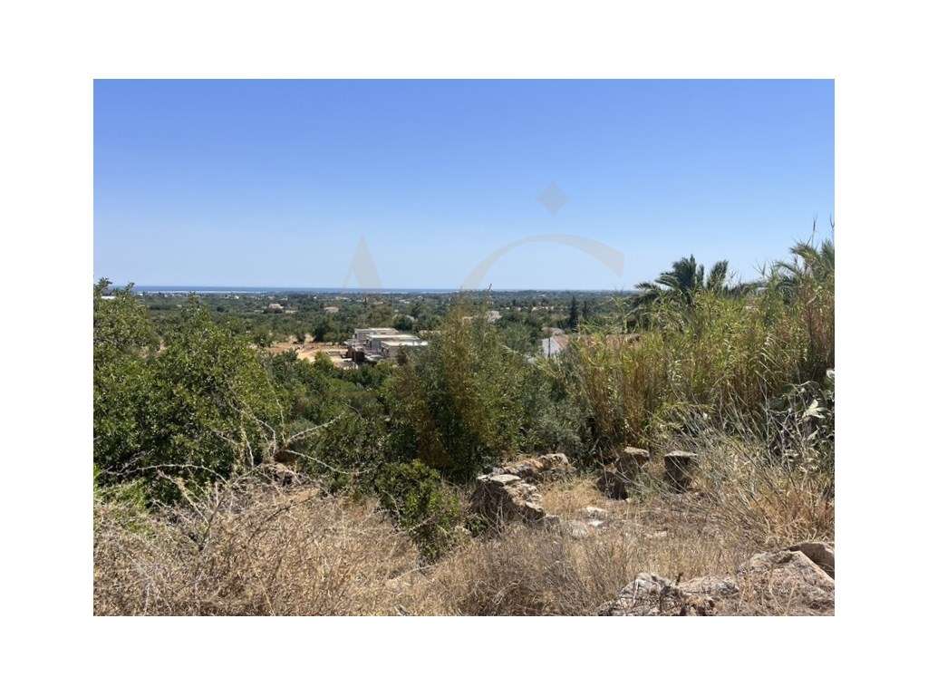 Quinta com duas casas, vistas para o mar e 11.940 m² de terreno em ...-26
