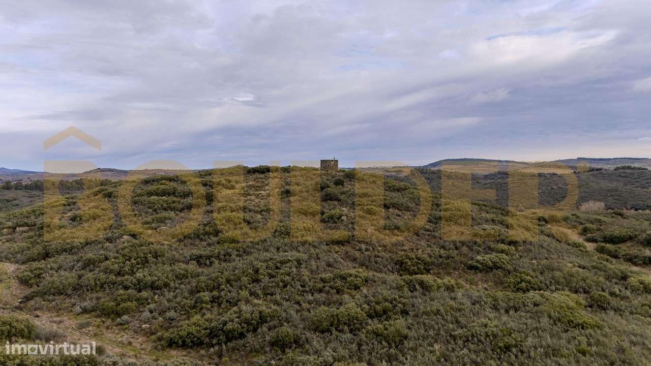 Quinta do Arieiro - Cedovim | Vila Nova de Foz Côa | Douro Superior-12