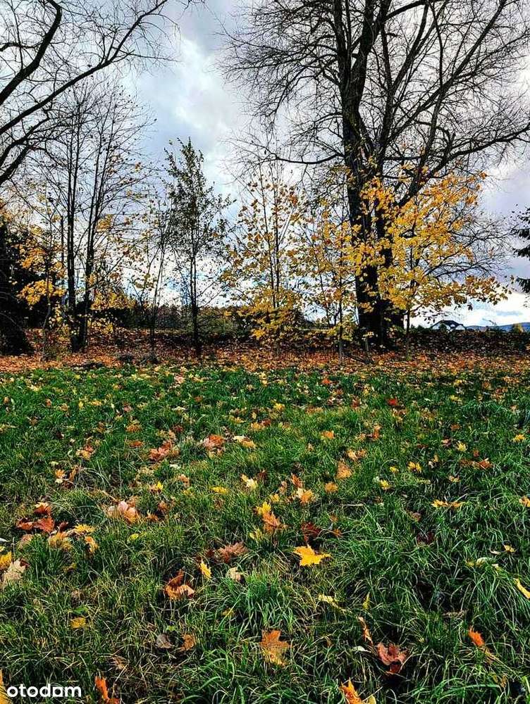 Działka w super lokalizacji - Stary Wielisław-2