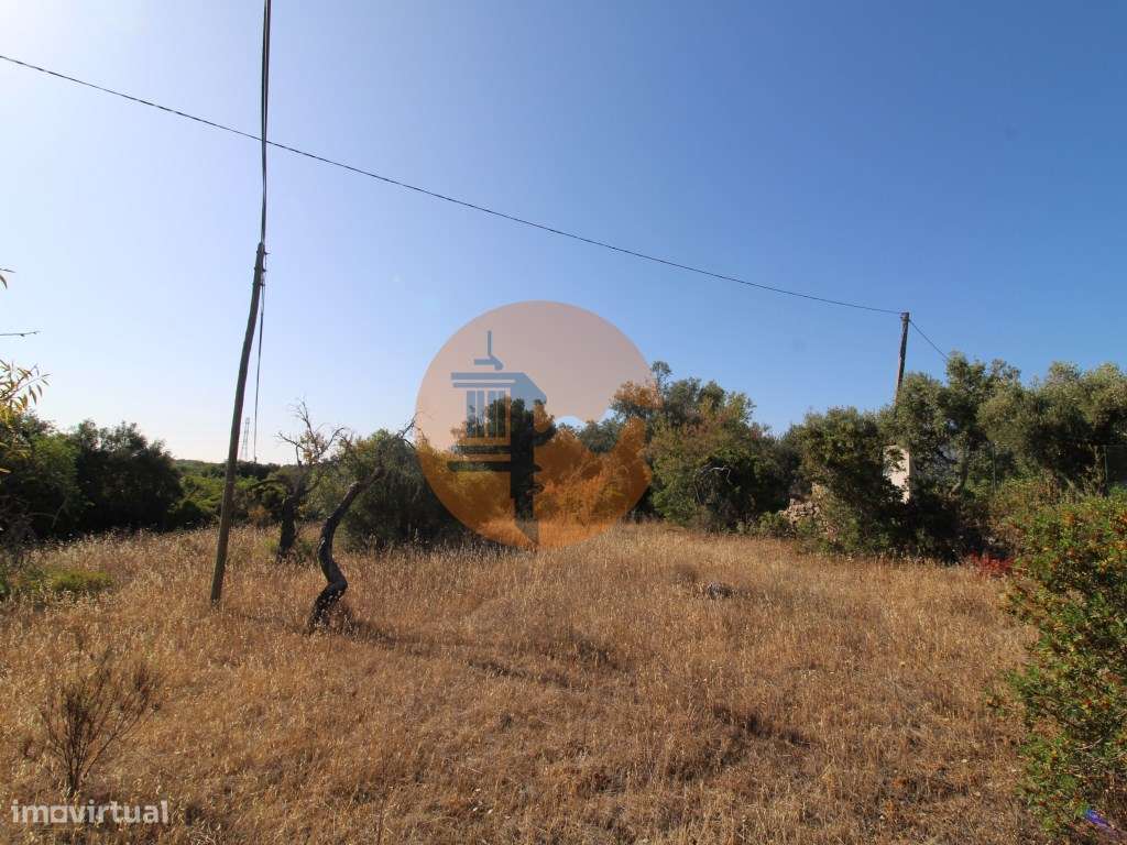 Terreno rústico com 1.600 m2 - Grande imagem: 4/11