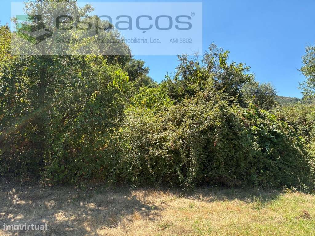 Terreno Plano com Poço - Grande imagem: 4/9