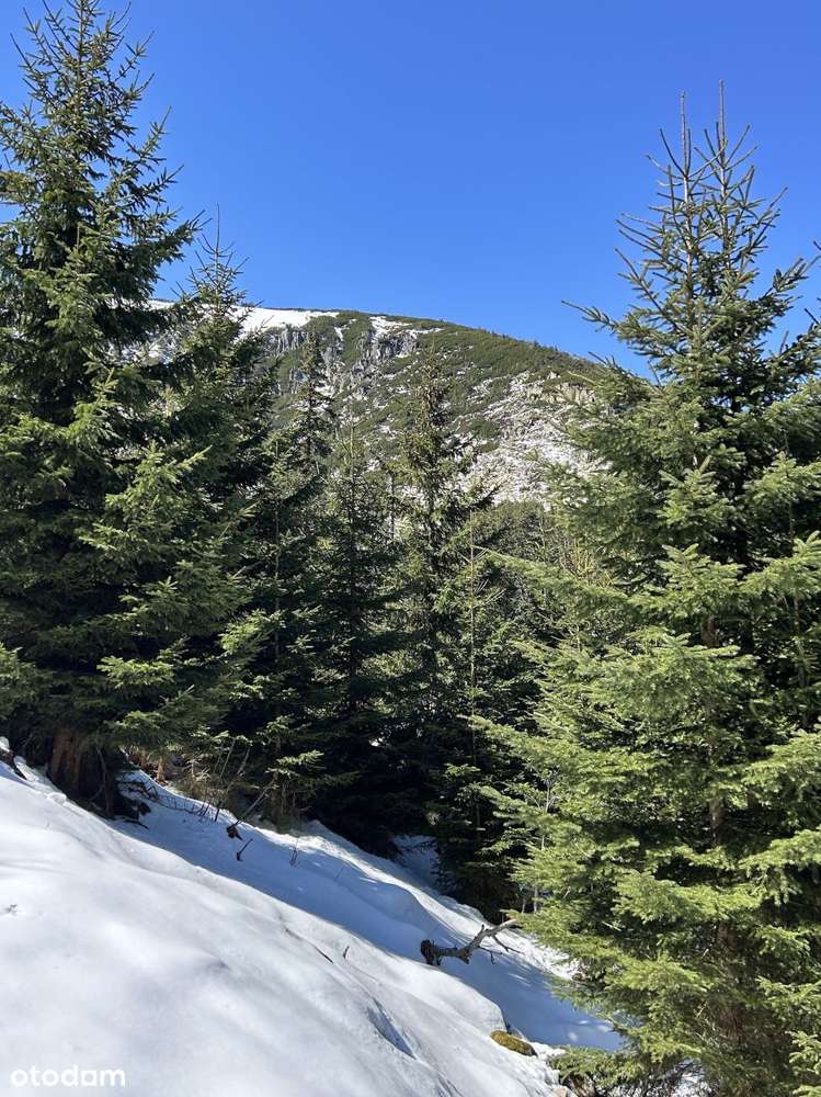 Twoje miejsce w sercu gór! - Pełny obrazek: 1/18