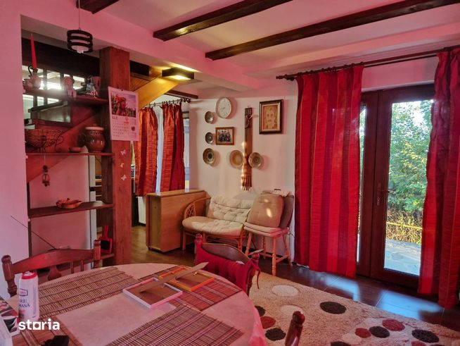 EXCLUSIV - Cafrom Imobiliare - SECIU-Vila de Vanzare-10