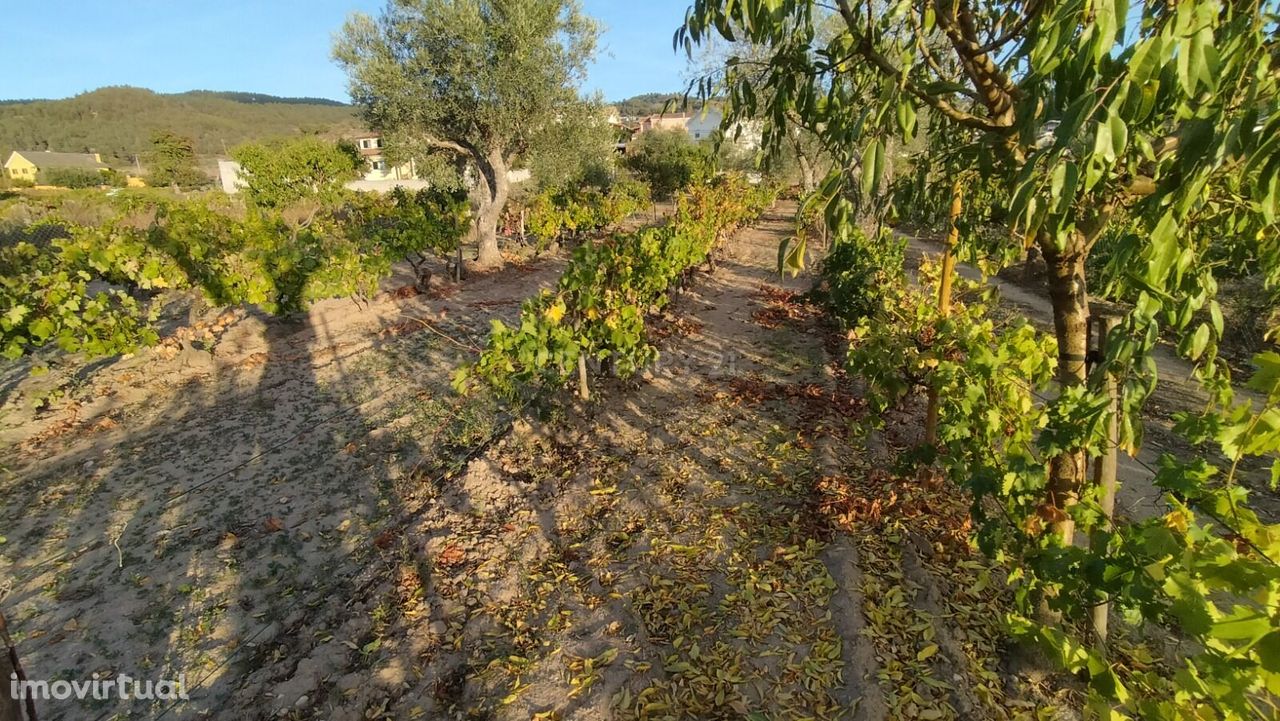 Terreno no Campo de Cima em Chaves com anexos, eletricidade, poço, com