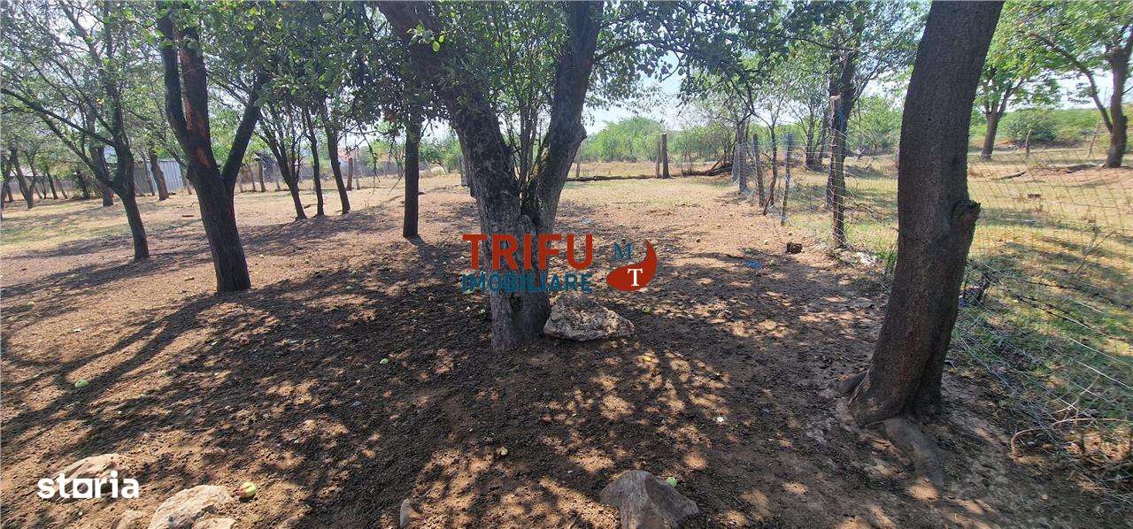 Teren de vanzare zona Paclisa - Imagine principală: 2/12