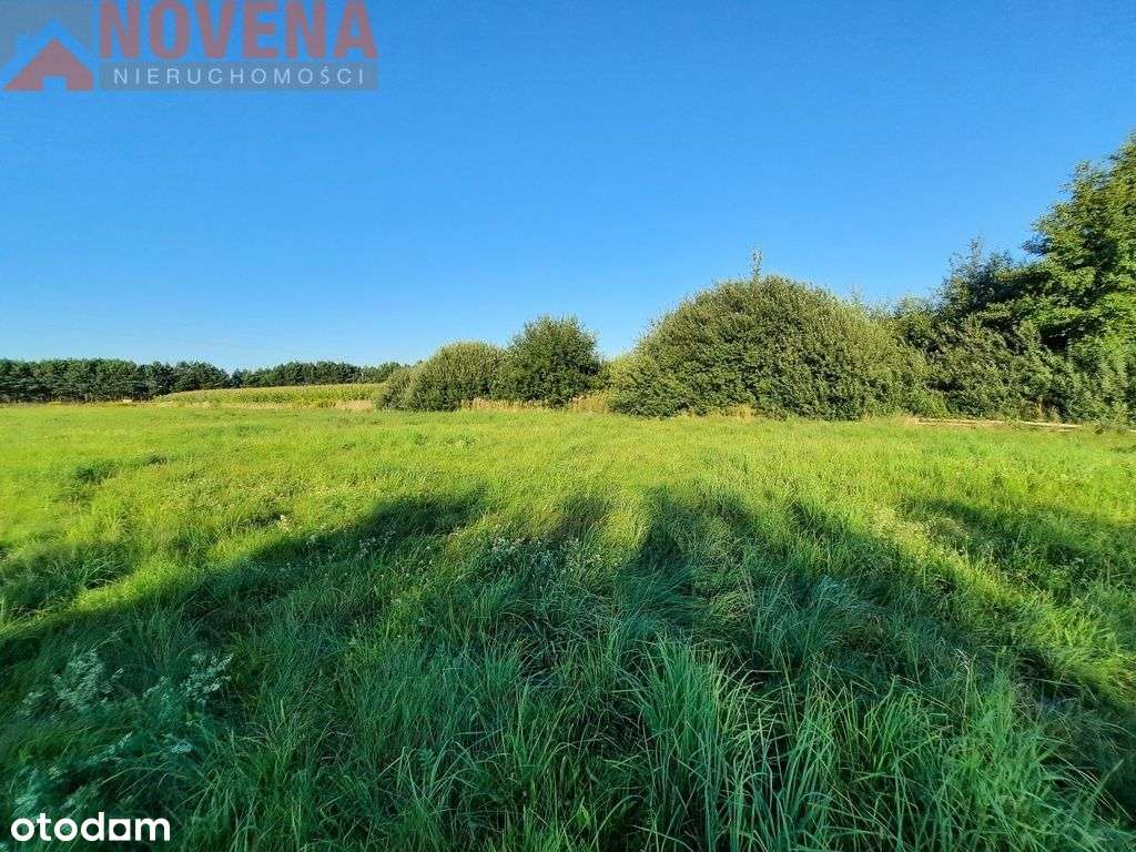 Blisko Las i tereny rekreacyjne. - Pełny obrazek: 4/7