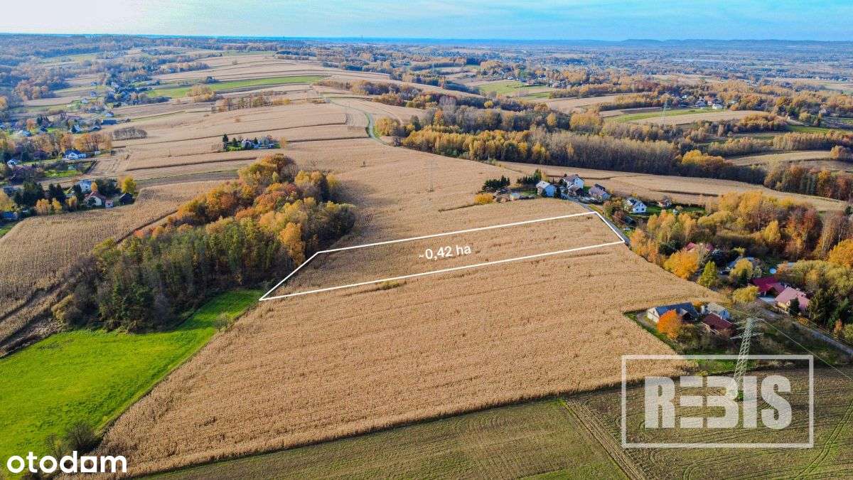 Eng| Działka Budowlano-Rolna, Tłuczań, 42a-2