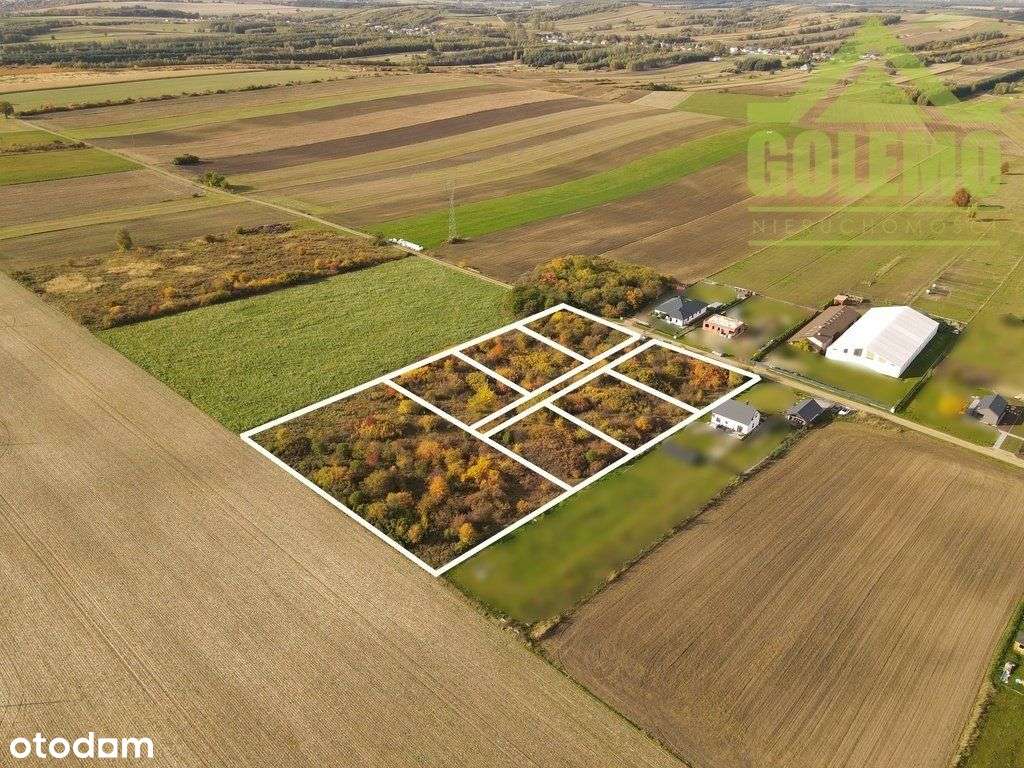 Działki budowlane / 1200m2 / Żuraw, gm. Janów - Pełny obrazek: 4/6