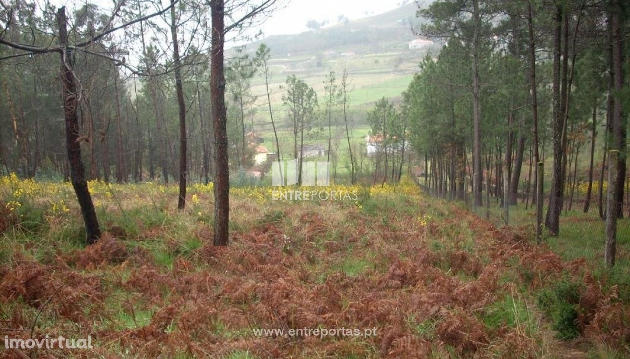 Venda Terreno, vistas serra, Gestaçô, Baião