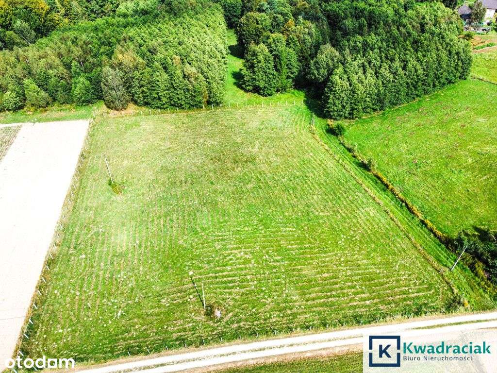 Huta Gogołowska – działki z widokiem, Wz, mediami.-4