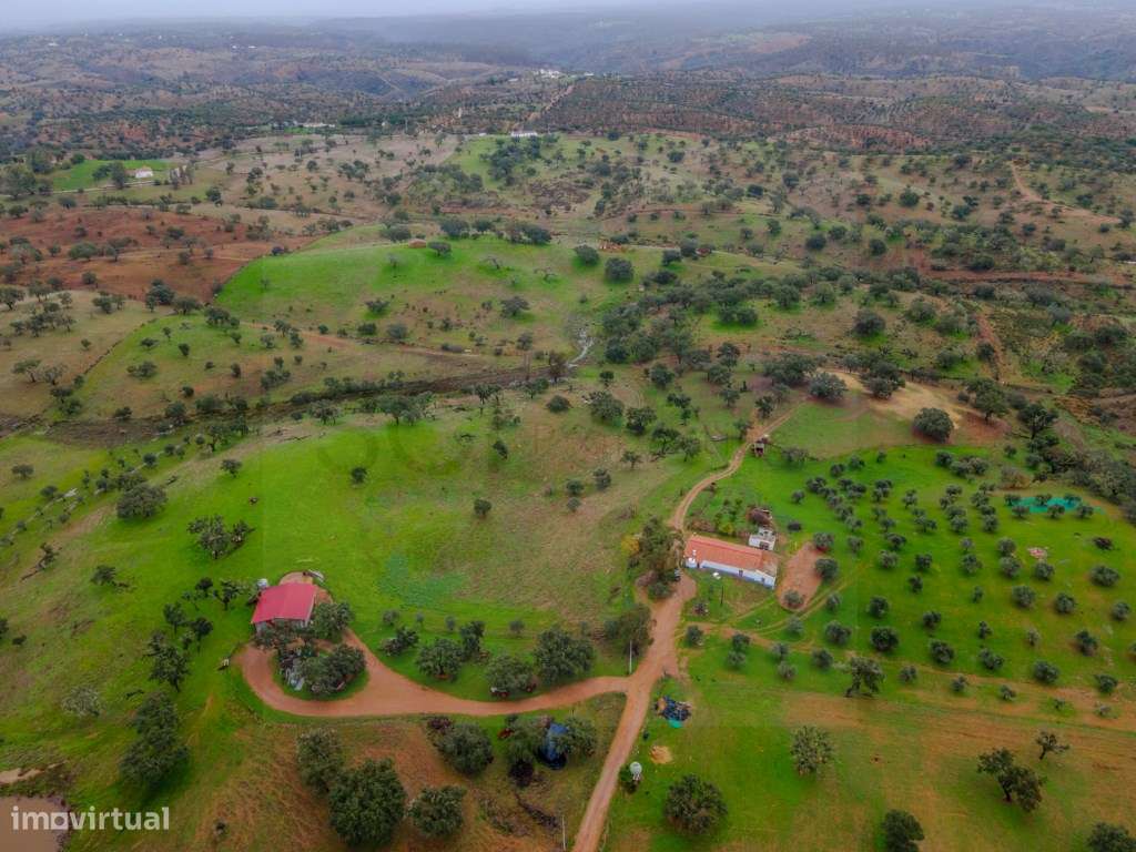 Fantástica quinta típica Alentejana em Vila Verde de Ficalho-5