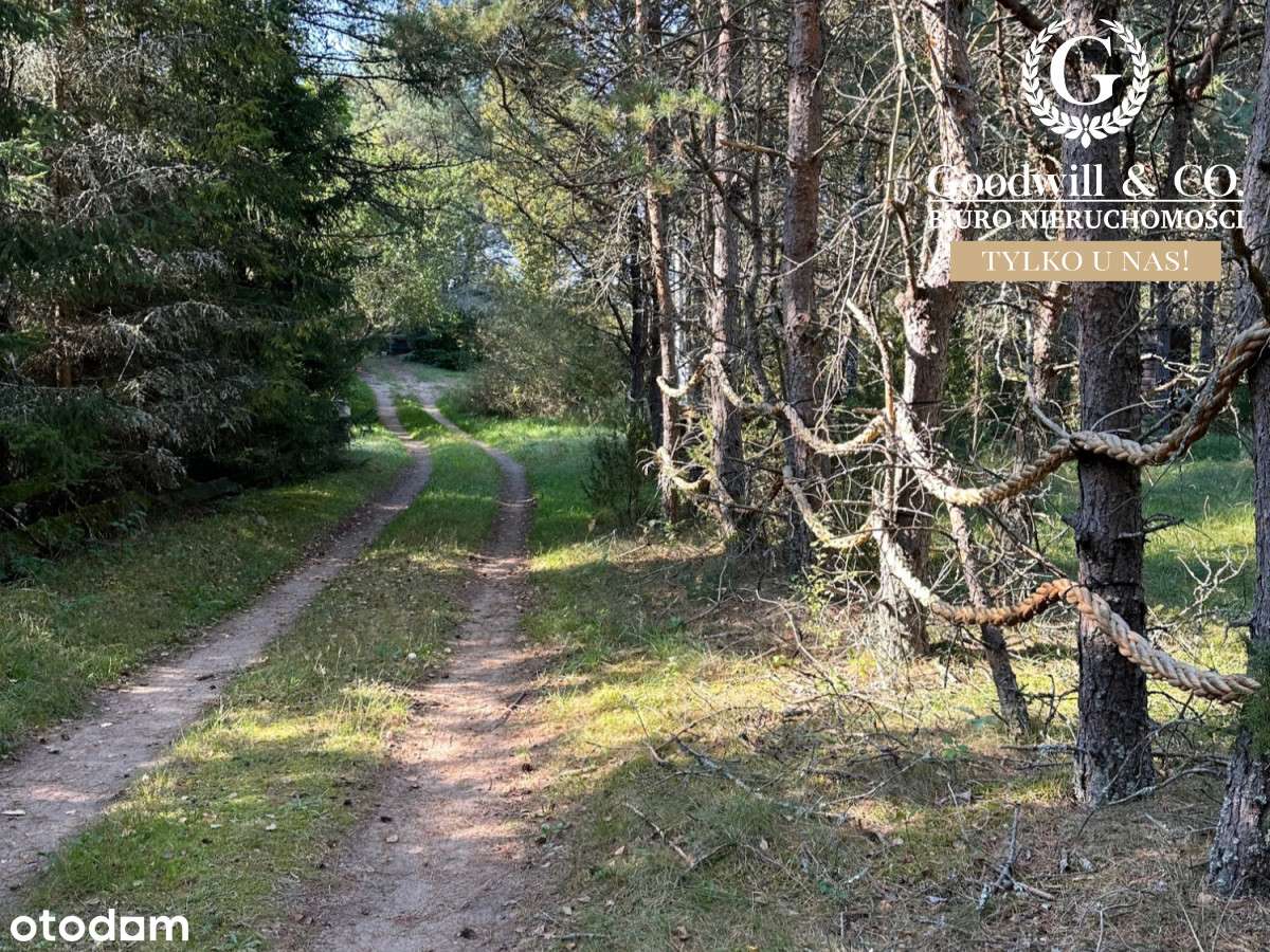 Działka rekraacyjna w - Pełny obrazek: 3/5