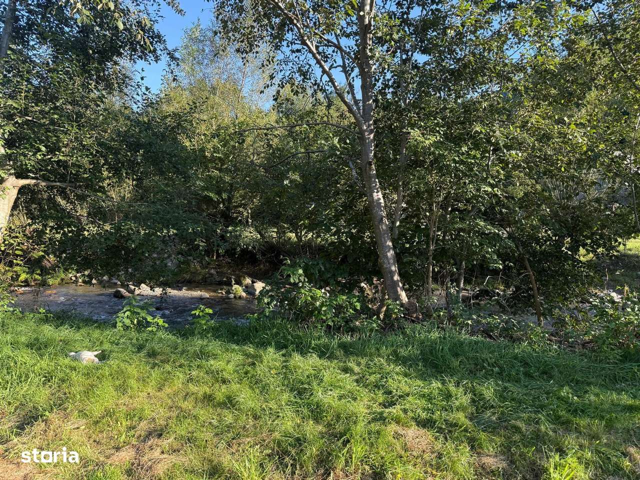 Casa de vacanta de vanzare pe Valea Lotrioarei-7