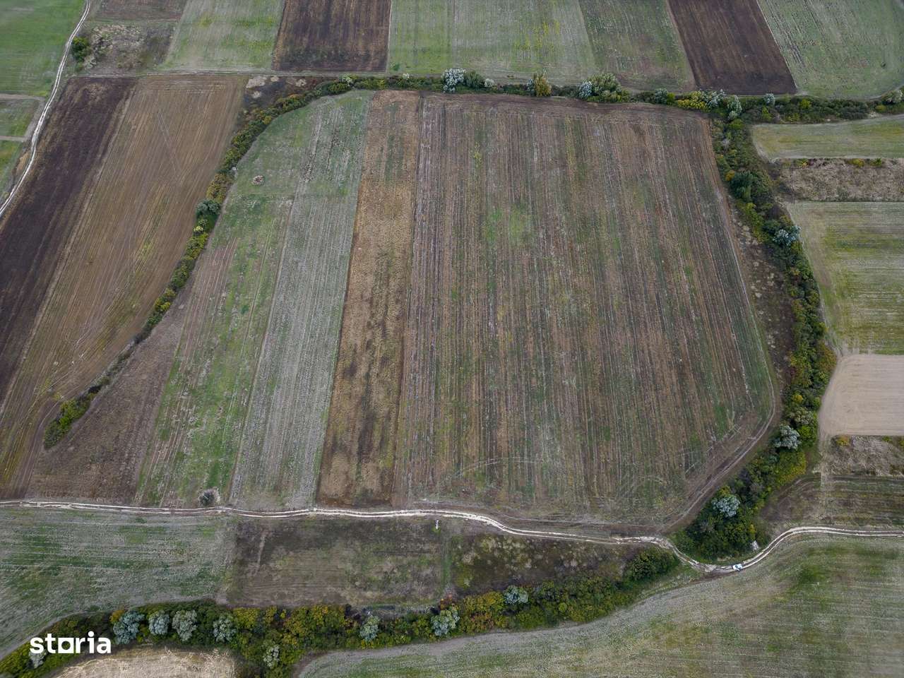 Teren agricol de 34.500mp în Albina, Județul Timiș - Imagine principală: 4/6