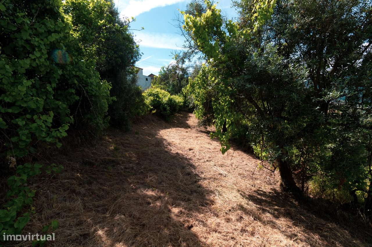 TERRENO P/ CONSTRUÇÃO COM VISTA PARA O RIO DOURO-7