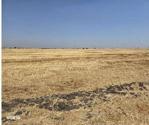 Teren extravilan Zimnicea cota parte 1/6 ID: R2688418 - Imagine principală: 4/9