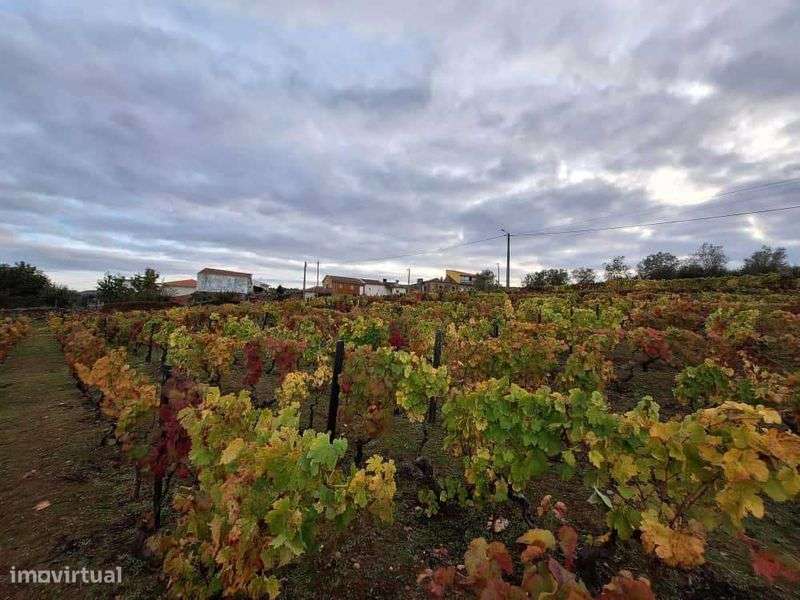 Terreno para construção - Grande imagem: 5/10