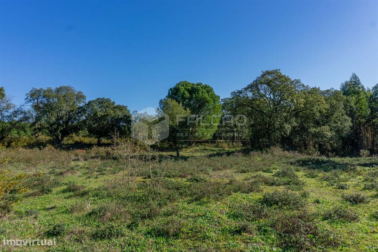 Moradia para Restaurar T2 Venda em Marmeleira e Assentiz,Rio Maior - Grande imagem: 4/40