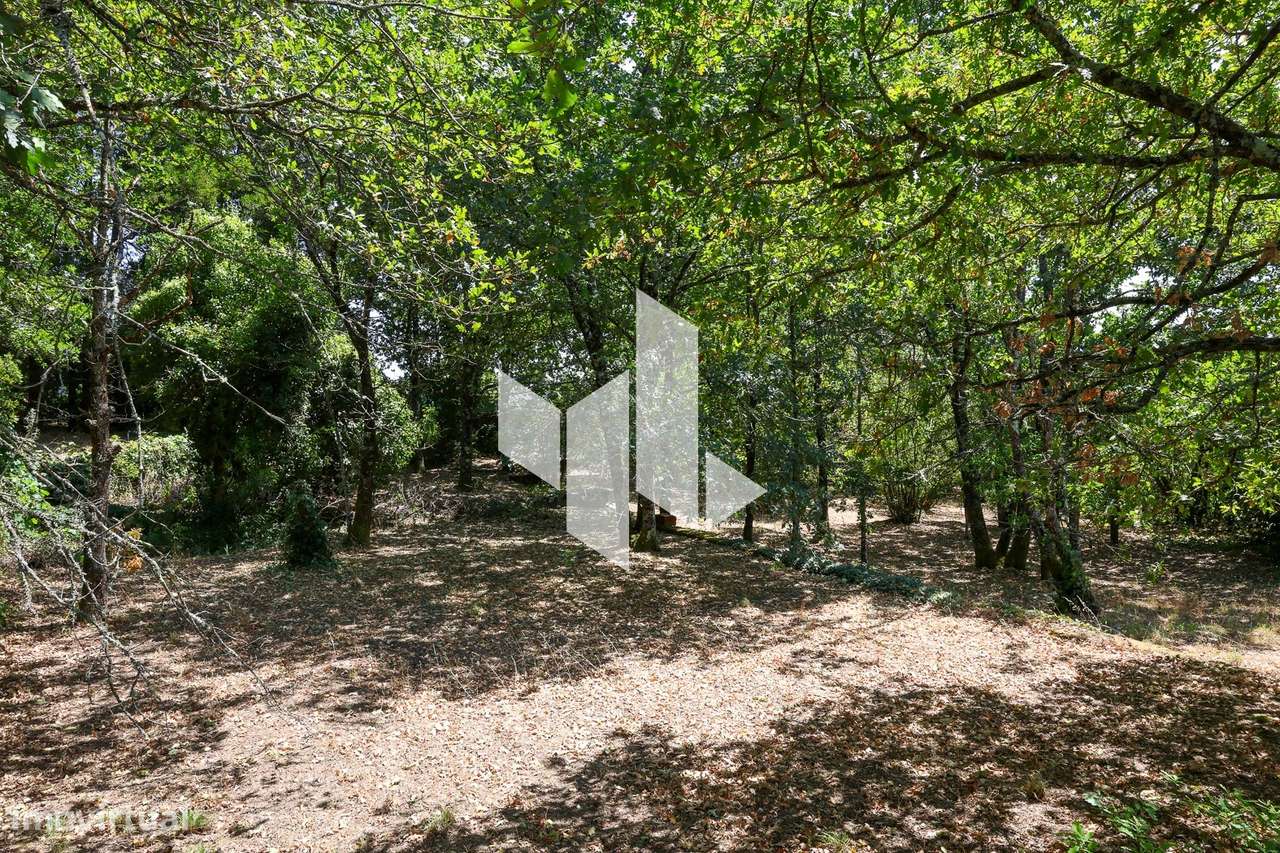 Quinta T6+3 Venda em Castelões,Tondela-30