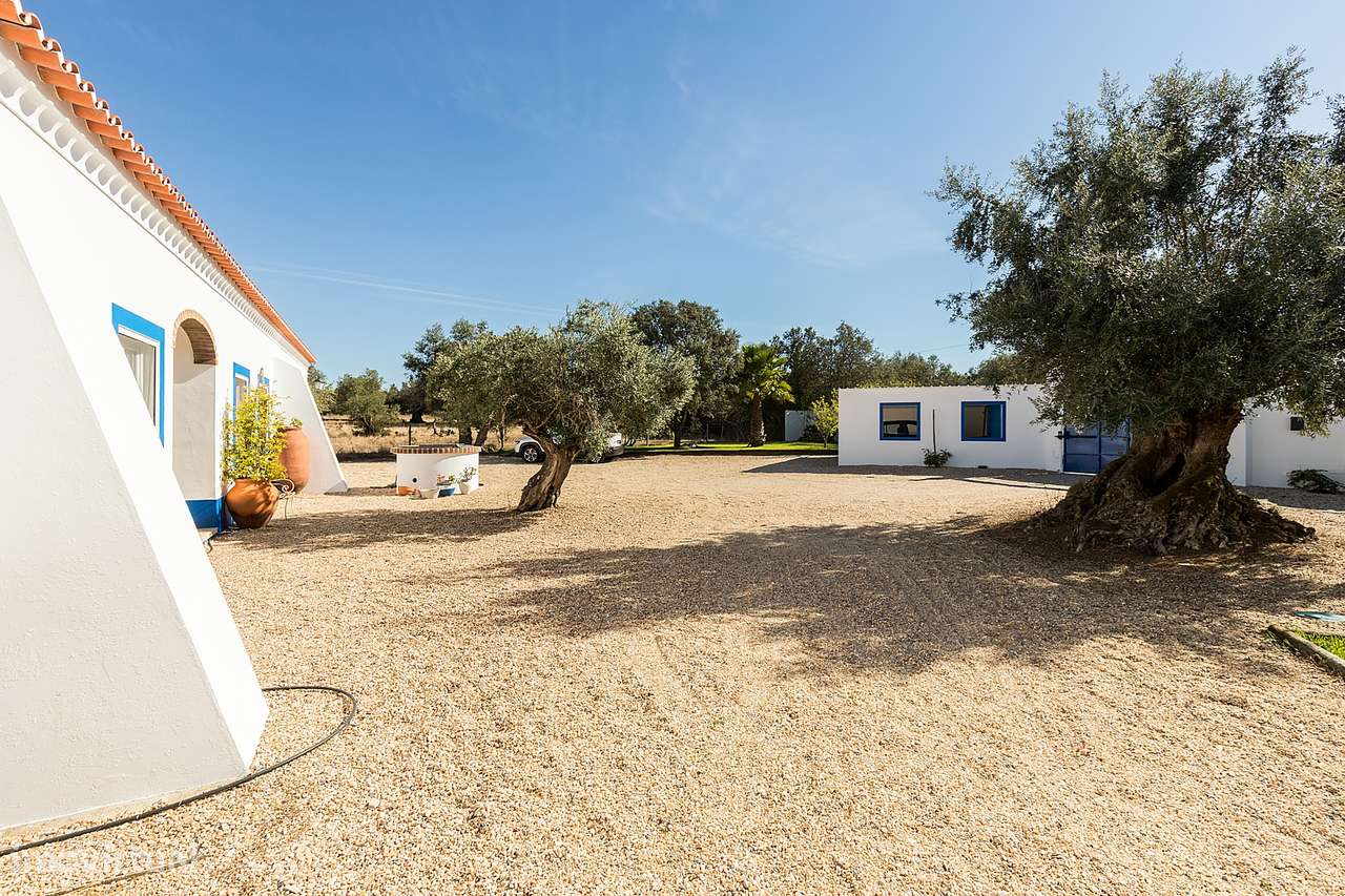 Quinta de charme T5 com piscina e 7 000 m² — vistas para o Castelo de-53