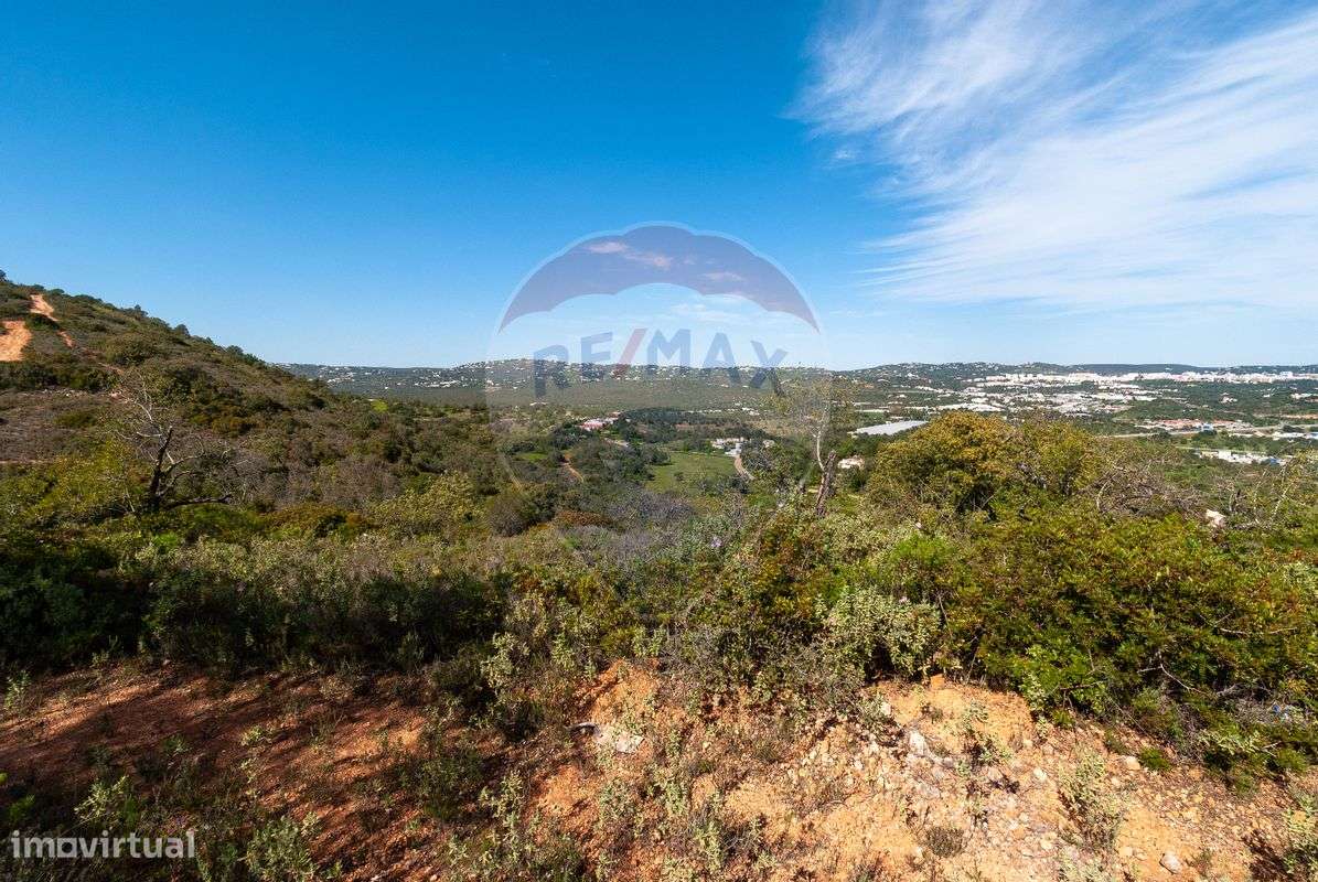 Terreno  para Venda - Grande imagem: 4/10