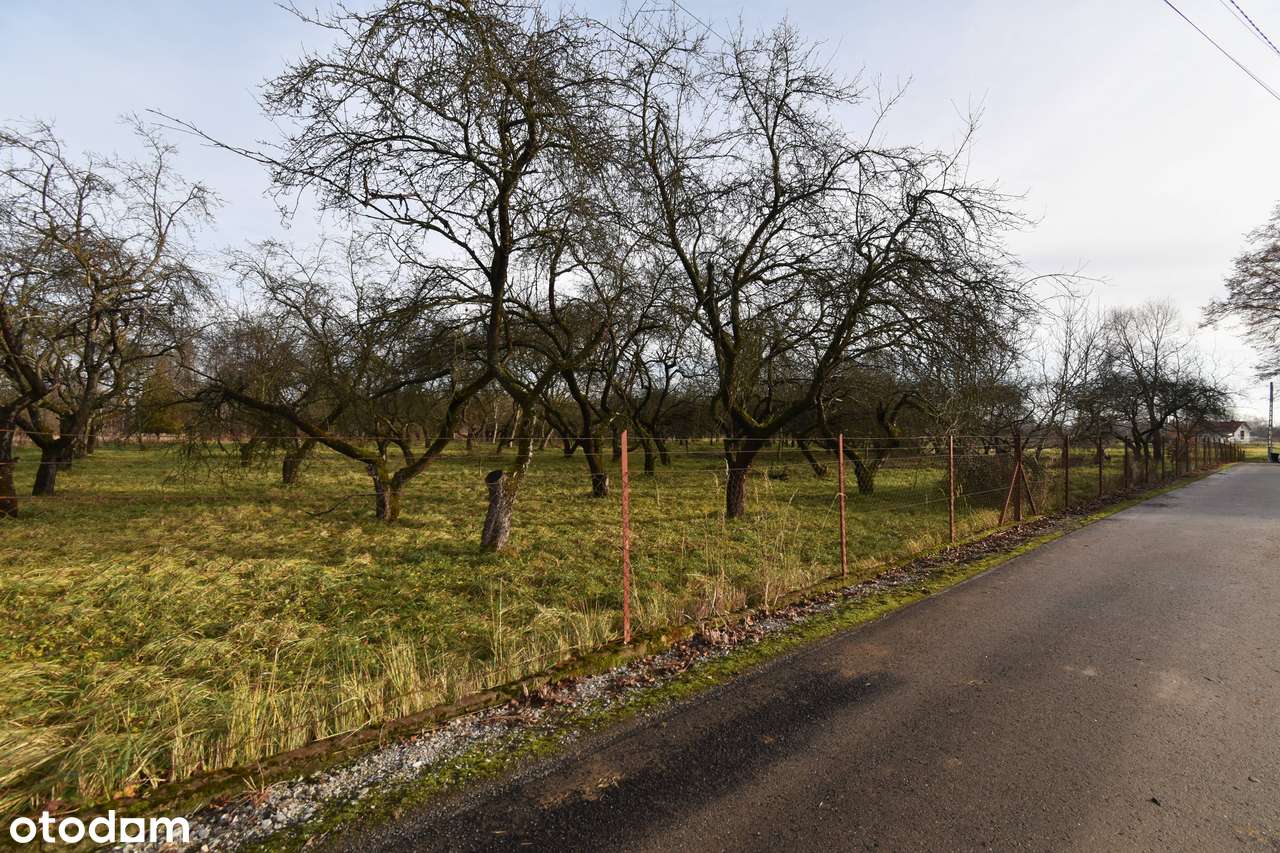 Działka z WZ tylko 4,3 km od centrum Łańcuta, przy drodze asfaltowej-7