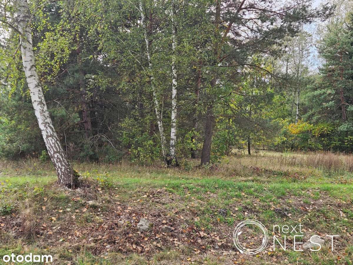 Pod lasem, pod dom/bliźniak, 1 km stacja Pkp - Pełny obrazek: 4/14