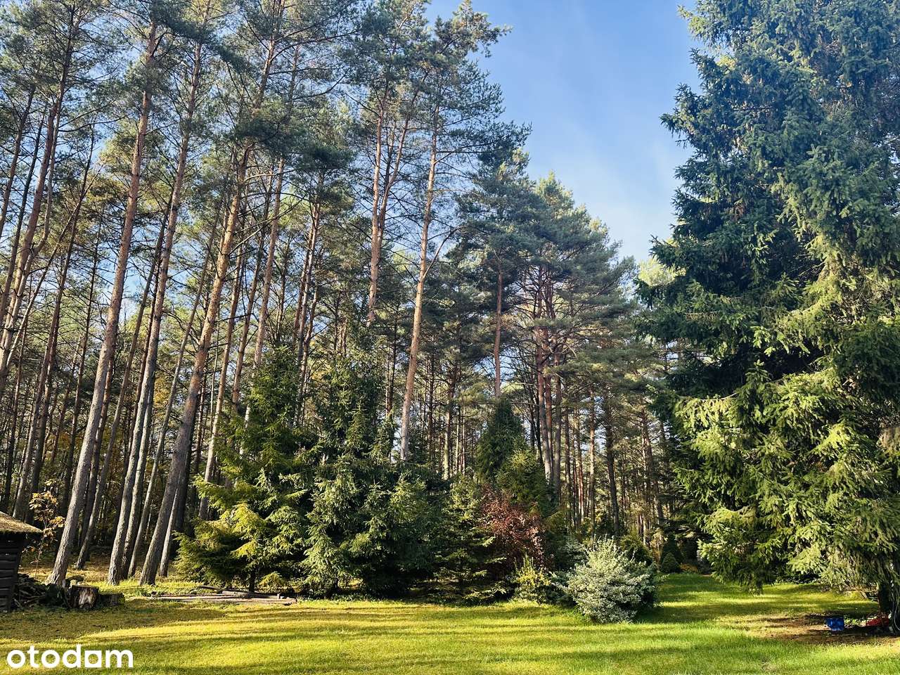 Wyjątkowa, przepiękna działka z domem i własnym lasem - Pełny obrazek: 4/16