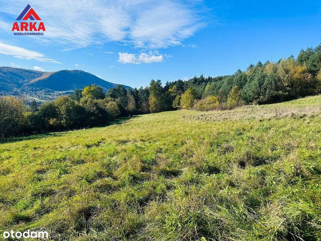 Działka Budowlano-rolna 1,4 HA W Mszanie Dolnej - Pełny obrazek: 4/11