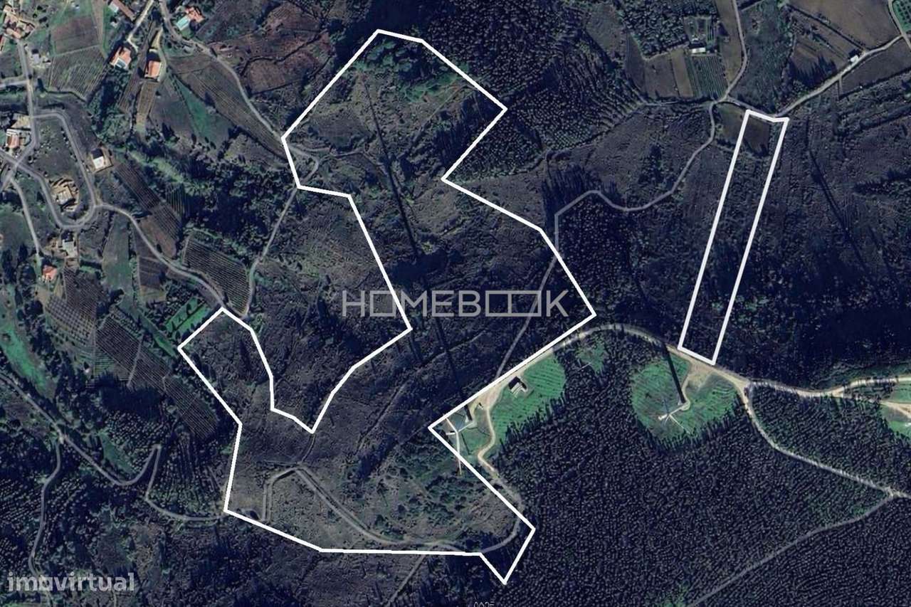 Terrenos Rústicos em REN para Venda – Maxial e Monte Redondo | Torres - Grande imagem: 4/4