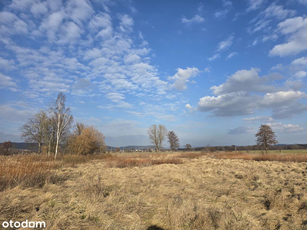 Działka budowlana 1503 m² z widokiem na Pasmo Karkonoszy-2